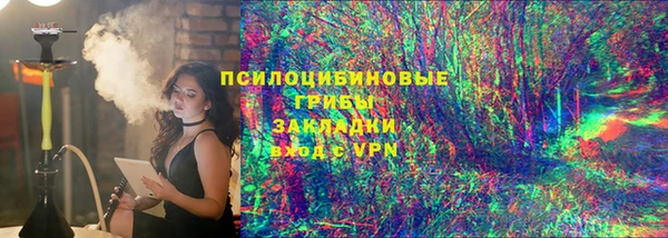 соль ск Алзамай