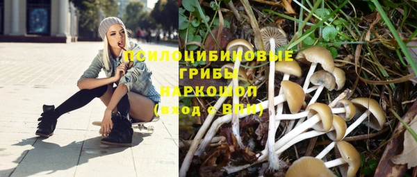 кокаин премиум Алексин