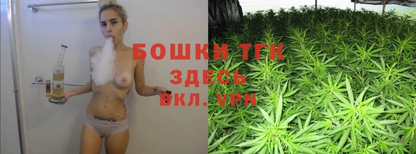 соль ск Алзамай