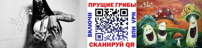 Галлюциногенные грибы Magic Shrooms Выкса